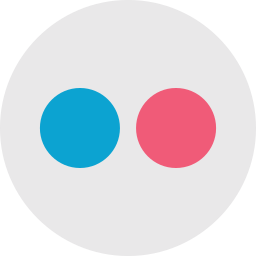 Copy Url